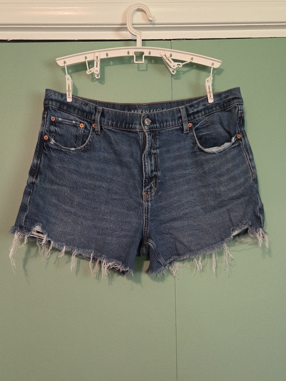 American Eagle Rae Hem Denim Ex Boyfriend Short Size 16